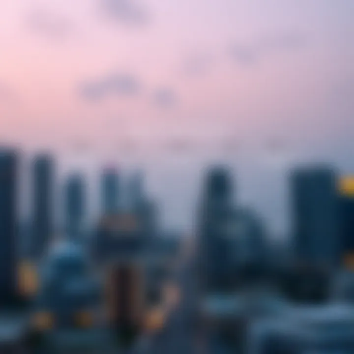 Regulatory Framework in Dubai Real Estate Infographic of the regulatory framework in Dubai's real estate market