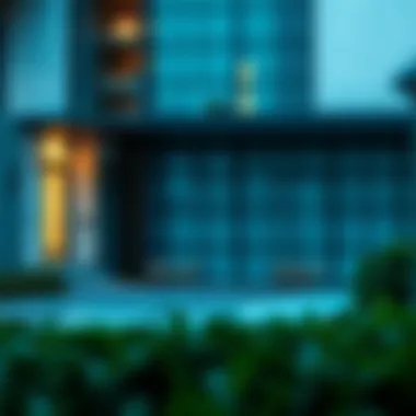 Challenges faced during visa cancellation